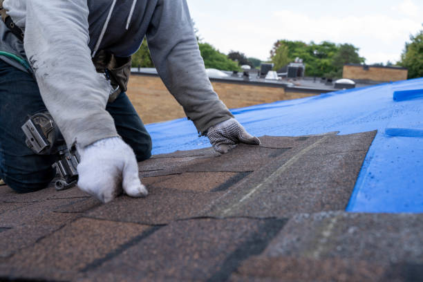 Best Roof Gutter Cleaning  in Howe, TX